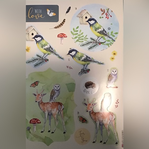 Nature Themed Card and Paper Crafting Kit - Picture 2 of 10
